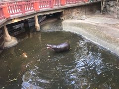 -清迈夜间动物园