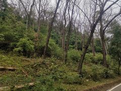 -三门江国家森林公园