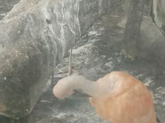-南昌动物园