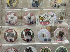 -汪说·狗咖·拼豆·宠物周边DIY(旺城大厦店)