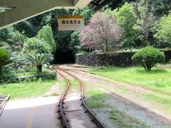 -遂昌金矿国家矿山公园