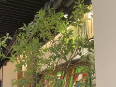 -大榕树下顺德菜(融创茂店)