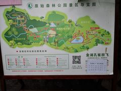 -西双版纳原始森林公园