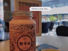 -野萃山·潮汕厚果汁(十亩地店)