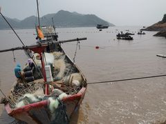 -北岐滩涂