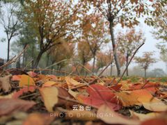 -云台山风景名胜区