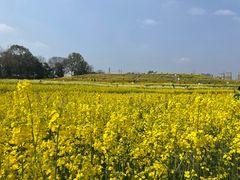 -三圣花乡旅游区