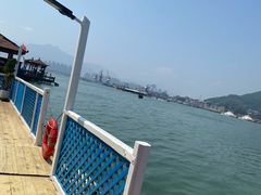 -罗源湾8号渔排