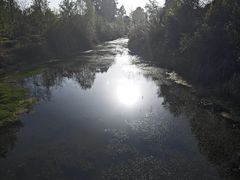 -白鹭湾湿地公园