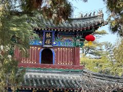 -洛阳白马寺