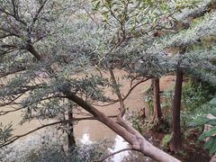 -广州市白云山风景名胜区