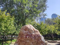 -长白岛森林公园