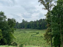 -樱桃山旅游景区