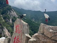 -罗田天堂寨风景区
