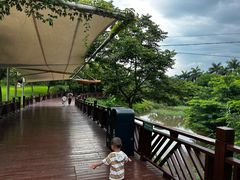 -泉州海丝野生动物世界