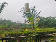 -雅安楠水阁温泉酒店