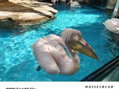 -波塞冬旅游度假区