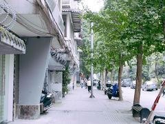 -泡桐树街