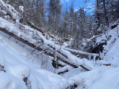 -峡谷浮石林景区