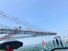 -梦幻奥陶纪景区