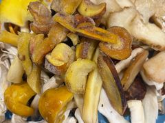 -菌之家·专业纯野生菌火锅·特色炒菌