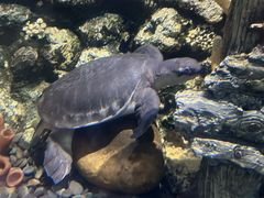 -欢乐海岸海洋奇梦馆