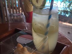 -柴犬高等学院·狗咖·柴犬售卖·宠物训练