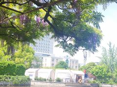 -嘉定紫藤园