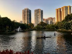 -晓港公园
