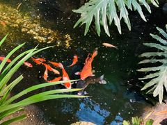 -聚缘堂·海鲜私房菜(松岭路店)