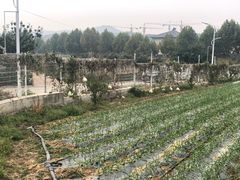 -大连北马山庄