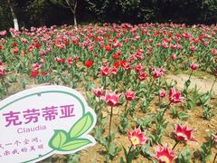 -白马涧龙池景区