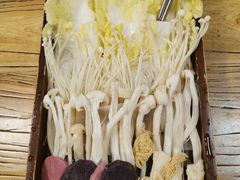 -天一朴素(武汉大学店)