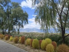 -野鸭湖国家湿地公园