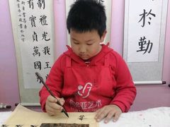 -阿妮亚少儿美术书法(望京店)
