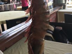 -真浪花园海鲜餐馆