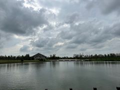 -盐城丹顶鹤湿地生态旅游区