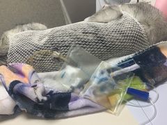-谐和贝康宠物医院24小时·宠保定点(急重症转诊中心)