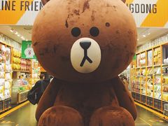 -line friends(明洞旗舰店)