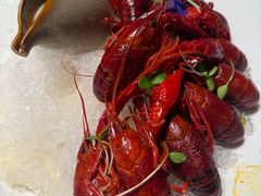 -杨氏青龙虾·羊蝎子(金盛路总店)