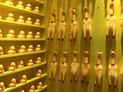 -杭州西湖星空魔幻城(星空艺术馆品牌旗舰店)