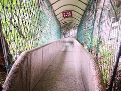 -洛阳白云山景区