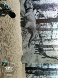 -恐龙探索乐园(磁器口店)