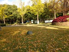 -苏州河梦清园环保主题公园