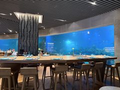 -海棠湾洲际-涛·海底餐厅·美人鱼·自助餐·海底隧道