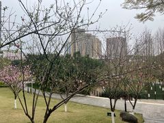 -沐仙湖湿地公园