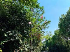 -雨花胜境