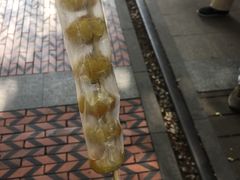 -铁路文化公园