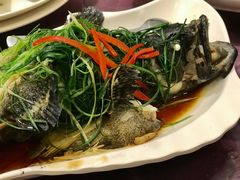 -喜碧海鲜·二十年本土海鲜老字号(上排店)