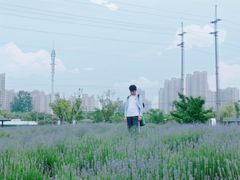-菊园百果园